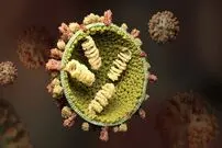 افزایش ابتلای آنفلوآنزا در کودکان؛ ضرورت همراهی خانواده‌ها در تعطیلی مدارس