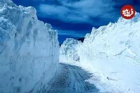 ارتفاع 4.5 متری برف در برخی مناطق یک شهر ایران؛ یک مقام دولتی: بی سابقه است!