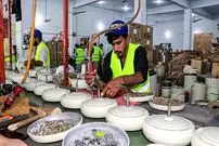 ببینید| مراحل دیدنی تولید انبوه پنکه سقفی در کارخانه ای در پاکستان