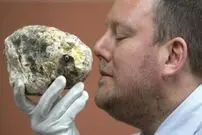 (عکس) در دل نهنگ مرده گنج پیدا شد