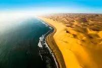 هیولای ۱۴۰۰ پوندی در نزدیکی ساحل مشاهده شد