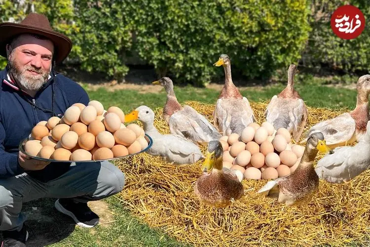 ببینید| غذای روستایی در آذربایجان؛ کباب کردن مرغابی شکم پر در تنور