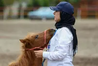 تصاویر| جشنواره زیبایی اسب‌ کاسپین