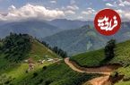 تصاویر؛ روستای ارده کجاست؟ آرامش مطلق و دیگر هیچ!