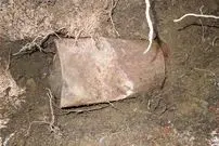 گنج بزرگ سکه‌های طلا که در «قوطی» پیدا شد