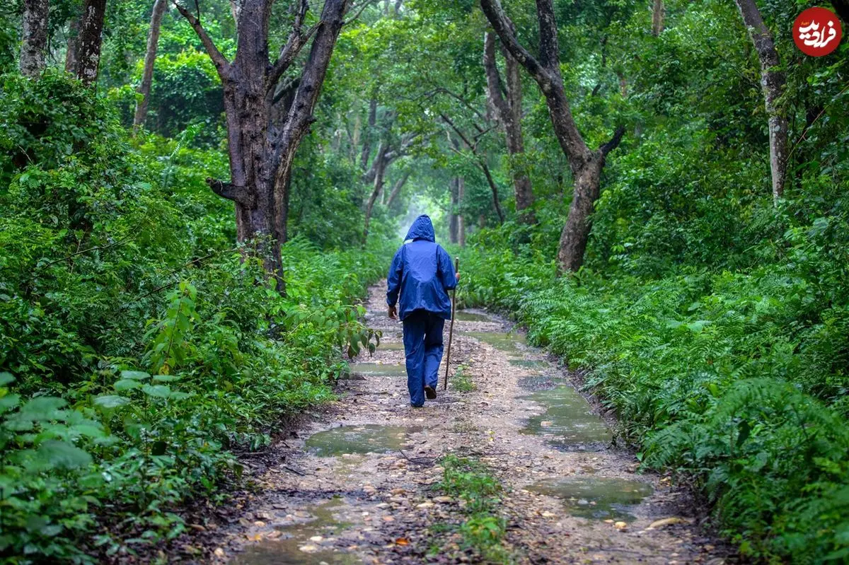 چرا زندگی در دنیای مدرن باعث آسیب به بدن و روان انسان می‌شود؟