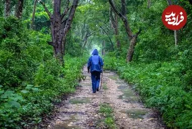 چرا زندگی در دنیای مدرن باعث آسیب به بدن و روان انسان می‌شود؟