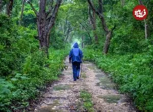 چرا زندگی در دنیای مدرن باعث آسیب به بدن و روان انسان می‌شود؟