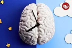 چرا گاهی قبل از زنگ ساعت از خواب بیدار می‌شویم؟