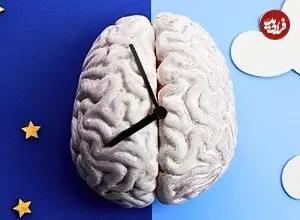 چرا گاهی قبل از زنگ ساعت از خواب بیدار می‌شویم؟