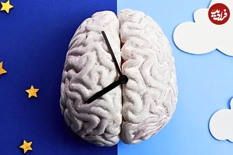 چرا گاهی قبل از زنگ ساعت از خواب بیدار می‌شویم؟