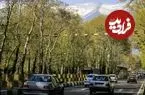 عکس| سفر به ایران قدیم؛ خیابان ولی‌عصر تهران قبل از آسفالت شدن؛ اوایل دهه 1310