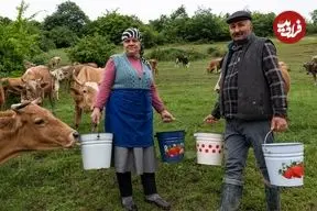 ببینید| غذای روستایی در آذربایجان؛ تهیه پنیر موزارلا و پخت پیتزا در روستا