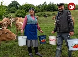 ببینید| غذای روستایی در آذربایجان؛ تهیه پنیر موزارلا و پخت پیتزا در روستا