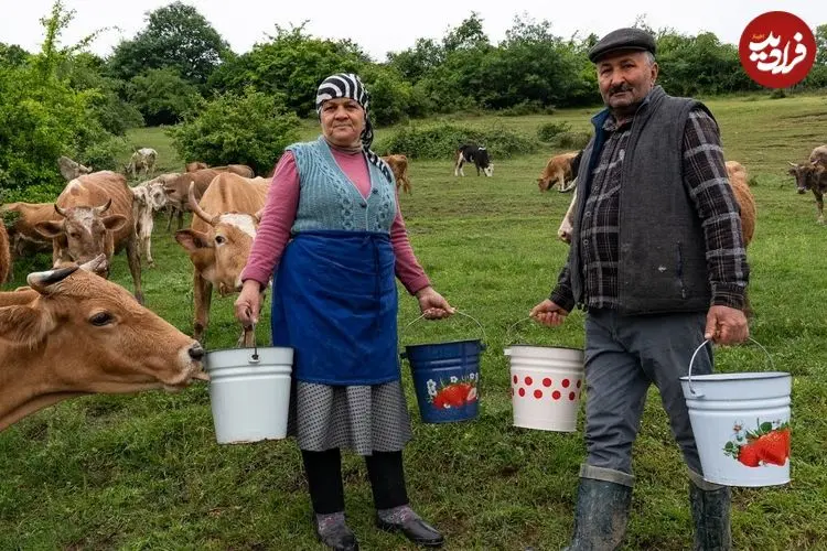 ببینید| غذای روستایی در آذربایجان؛ تهیه پنیر موزارلا و پخت پیتزا در روستا