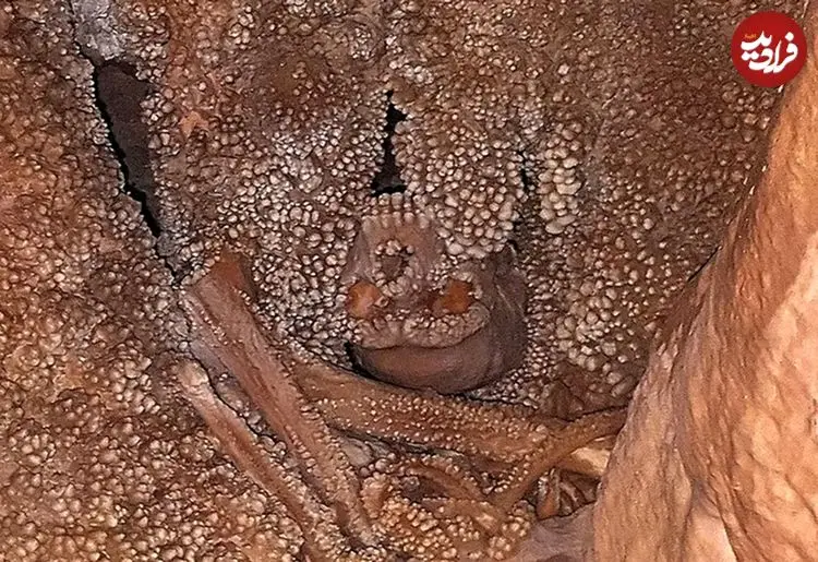 مردی که ۱۲۸ هزار سال قبل در یک غار گرفتار شد