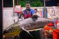 ببینید| برش ماهرانه ماهی کاد توسط ماهی فروش هندی در کنار خیابان