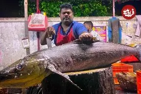 ببینید| برش ماهرانه ماهی کاد توسط ماهی فروش هندی در کنار خیابان