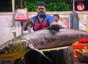 ببینید| برش ماهرانه ماهی کاد توسط ماهی فروش هندی در کنار خیابان
