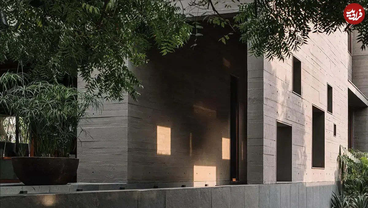 تصاویر؛ معماری جالب یک خانه با تلاش برای حفاظت از 9 درخت چریش