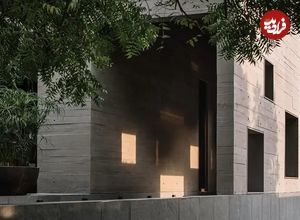 تصاویر؛ معماری جالب یک خانه با تلاش برای حفاظت از 9 درخت چریش