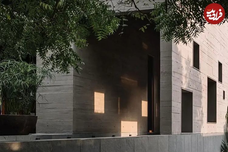 تصاویر؛ معماری جالب یک خانه با تلاش برای حفاظت از 9 درخت چریش