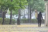 رگبارو رعد و برق در شمال و جنوب کشور؛ اهواز ۵۱ درجه‌ای می‌شود