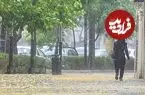 رگبارو رعد و برق در شمال و جنوب کشور؛ اهواز ۵۱ درجه‌ای می‌شود