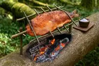 ببینید| غذای روستایی در آمریکا؛ صید ماهی و کباب کردن آن روی آتش