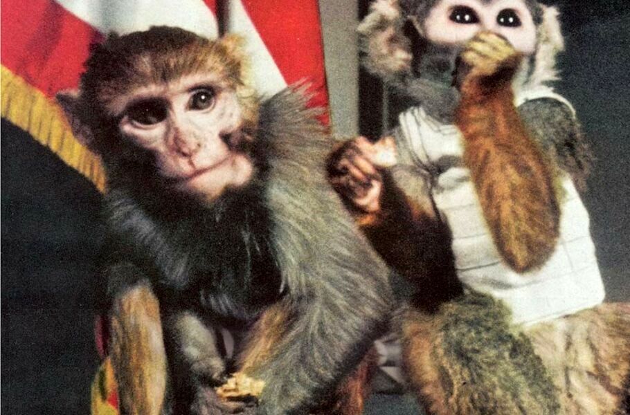امروز در فضا: ایبل و بیکر، اولین میمون‌هایی که از پرواز فضایی جان سالم به در بردند
