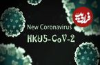 فقط یک جهش کوچک تا «اپیدمی»؛ کروناویروسِ HKU۵-CoV۲ در کمین
