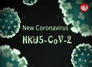 فقط یک جهش کوچک تا «اپیدمی»؛ کروناویروسِ HKU۵-CoV۲ در کمین