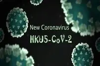 فقط یک جهش کوچک تا «اپیدمی»؛ کروناویروسِ HKU۵-CoV۲ در کمین