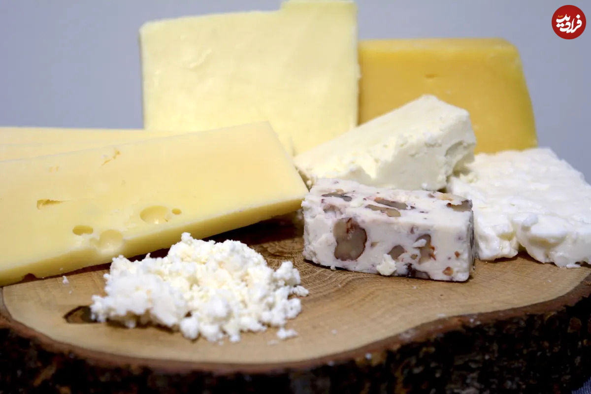تولید 193 نوع پنیر در ترکیه