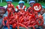 ببینید| غذای روستایی در هند؛ پخت غذا با لابستر بزرگ در طبیعت
