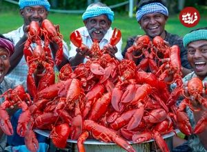 ببینید| غذای روستایی در هند؛ پخت غذا با لابستر بزرگ در طبیعت