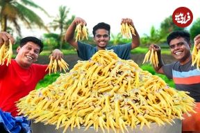 ببینید؛ غذای روستایی در هند؛ پخت یک غذای محلی با پای مرغ، فلفل و برنج