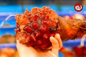 ببینید؛ غذای خیابانی در کره؛ تهیه غذاهای متنوع با آناناس دریایی در سئول