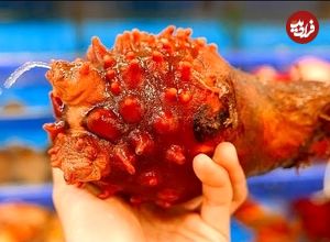 ببینید؛ غذای خیابانی در کره؛ تهیه غذاهای متنوع با آناناس دریایی در سئول