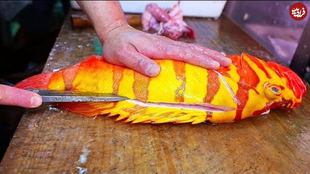 ببینید؛ غذای خیابانی در ژاپن؛ تهیه ساشیمی و غذاهای سنتی با ماهی هامور نپتون در اوکیناوا