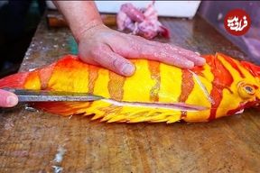 ببینید؛ غذای خیابانی در ژاپن؛ تهیه ساشیمی و غذاهای سنتی با ماهی هامور نپتون در اوکیناوا