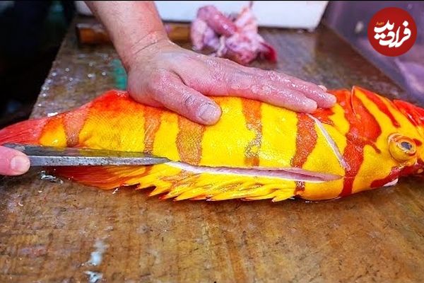 ببینید؛ غذای خیابانی در ژاپن؛ تهیه ساشیمی و غذاهای سنتی با ماهی هامور نپتون در اوکیناوا
