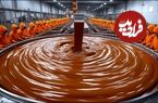 ببینید؛ مراحل دیدنی برداشت و فرآوری دانه کاکائو و تولید شکلات تخته ای در برزیل