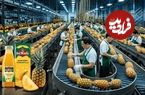 ببینید؛ کمپوت و آبمیوه آناناس چگونه در کارخانه های مالزی تولید می شود؟