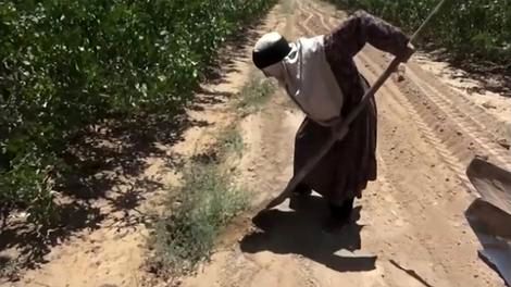 (ویدیو) مادر ۸۰ ساله کرمانی که همچنان کشاورزی می‌کند