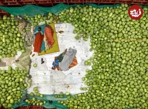 شاهکارهای عکاسی با پهپاد در سال 2025؛ از «دریاچۀ خشک ارومیه» تا «هندوانه‌فروش‌های بنگلادش»