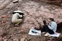 کشف بزرگ دانشمندان ژاپنی؛ تعقیب‌وگریز ۱۲۰ میلیون‌ ساله با حل معمای ردپاهای گمشده در قلب مغولستان