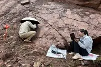کشف بزرگ دانشمندان ژاپنی؛ تعقیب‌وگریز ۱۲۰ میلیون‌ ساله با حل معمای ردپاهای گمشده در قلب مغولستان