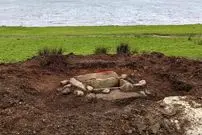 کشاورزی که داشت زمینش را شخم می‌زد، یک «قبر 4 هزارساله» پیدا کرد