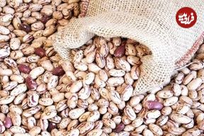 قیمت هر کیلوگرم لوبیاچیتی از نیم میلیون تومان گذشت